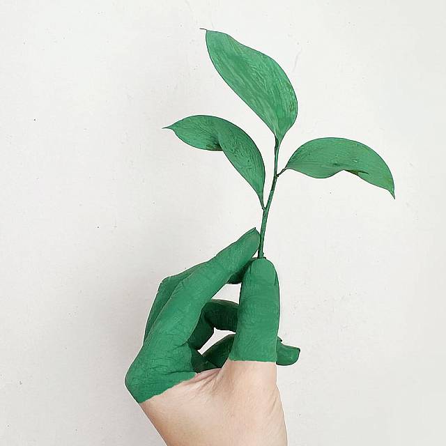 Green leave in a hand